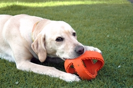 HAPPY PET  INTERACTIEVE VOETBAL ORANJE 18X18X18 CM