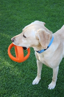 HAPPY PET  INTERACTIEVE VOETBAL ORANJE 18X18X18 CM